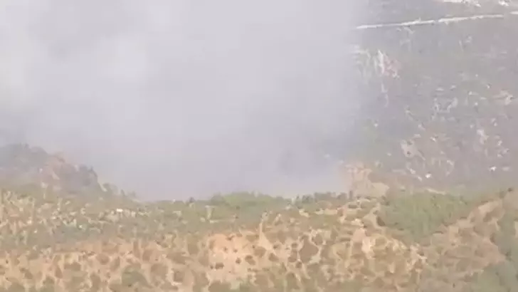 Denizli’de başlayan orman yangını Aydın’a sıçradı: Müdahale sürüyor