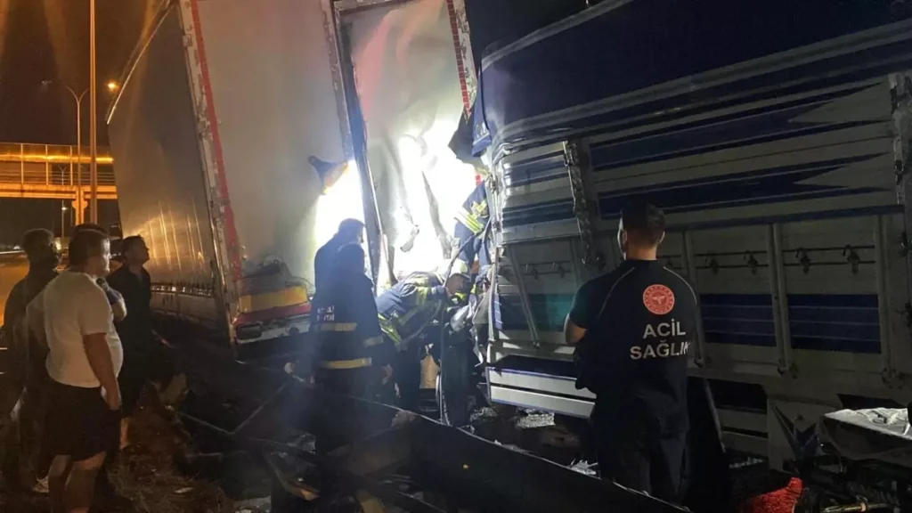 Kocaeli'de Feci Kaza: 19 Yaşındaki Genç Şoför Hayatını Kaybetti