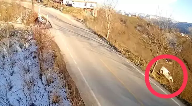 Hafif Ticari Araç Fındık Bahçesine Uçtu: Kaza Anı Kamerada