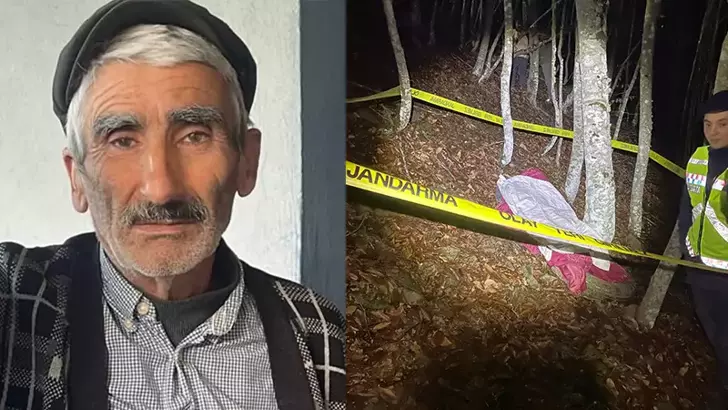 Uçuruma Yuvarlanan Traktörün Sürücüsü Hayatını Kaybetti, Eşi Yaralandı