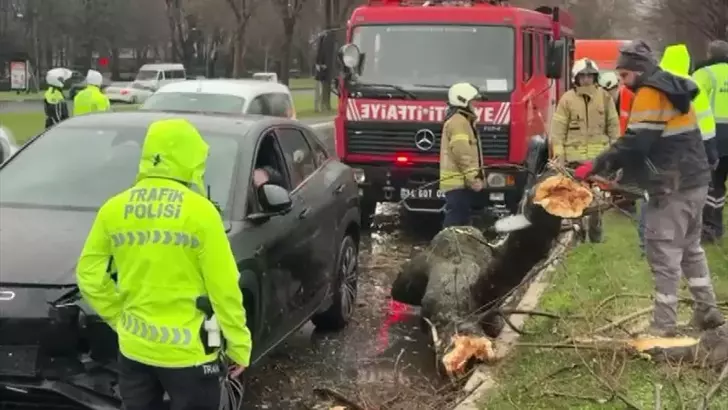 Bakırköy’de rüzgârın kopardığı ağaç dalı otomobilin üzerine düştü: 4 araç kazaya karıştı
