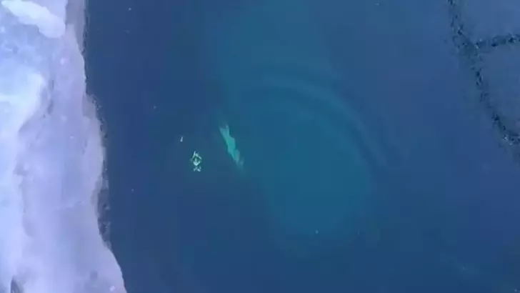 Rusya’da Baykal Gölü’nde Tur Aracı Buzun Altına Düştü: 8 Ölü