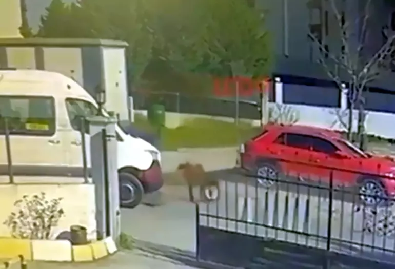 Minibüs ile motosiklet çarpıştı: 2 kişi yaralandı