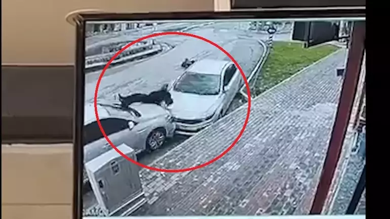 Şırnak’ta Otomobil Yayalara Çarptı: 2 Yaralı, Kaza Anı Kamerada