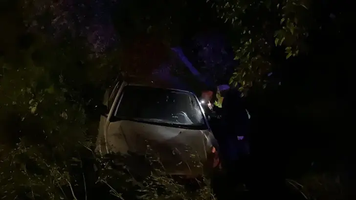 Bursa’da Korkutan Kaza: Otomobil Zeytinliğe Uçtu, 2’si Çocuk 4 Yaralı