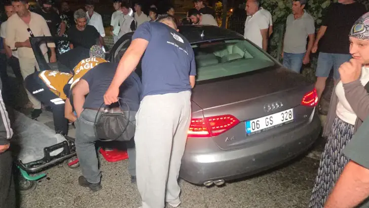 Bursa'da Kazadan Kaçmak İsteyen Sürücü Ağaca Çarptı: 1 Yaralı