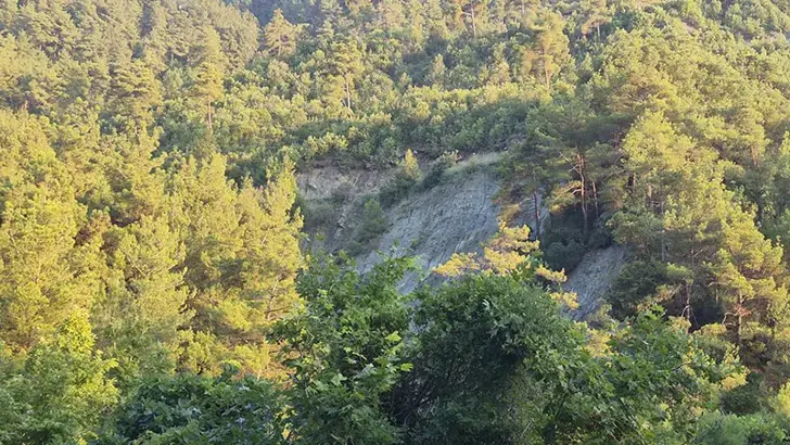 Osmaniye'de Feci Kaza: 50 Metrelik Uçuruma Yuvarlanan Otomobilde 1 Ölü, 1 Yaralı