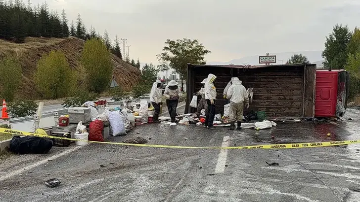 Malatya'da Arı Kovanı Yüklü Kamyonet Devrildi: 3 Yaralı